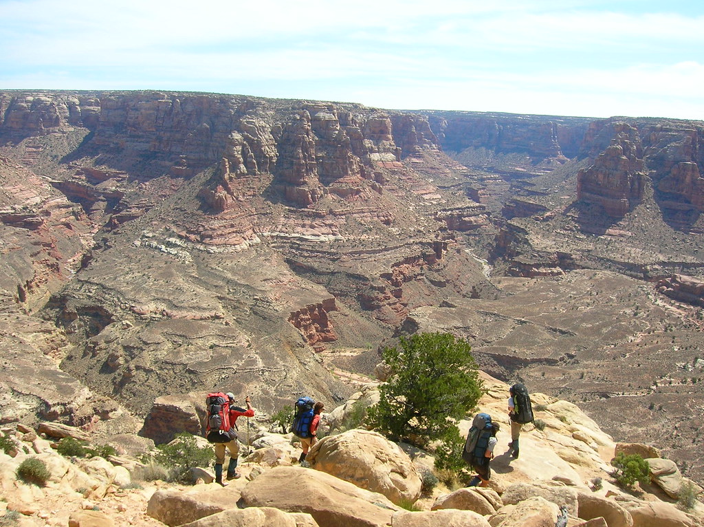 The Canyon