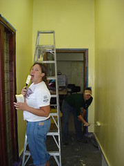 Painting the Walls