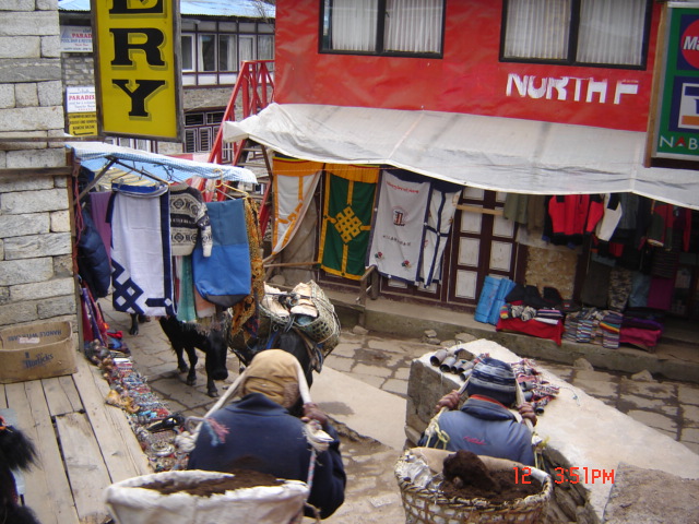 Phil Henderson's Nepal Trip