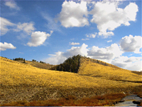Wyo range