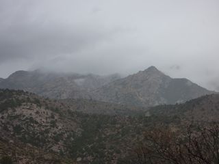 P1030679