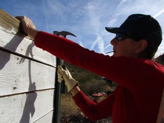 Putting up siding