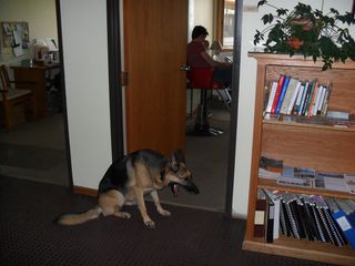 SAM_1237 SAM_1237