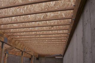 IMG_0559 IMG_0559