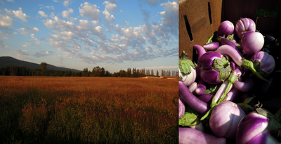 Picture 2 Picture 2
