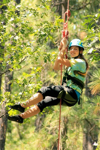 RosenbergTreeClimb