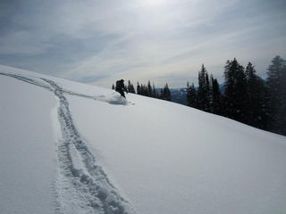 Ski