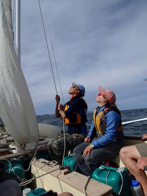 Sail Sail
