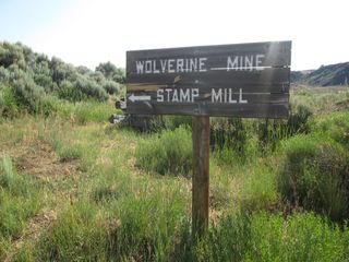 IMG_0163
