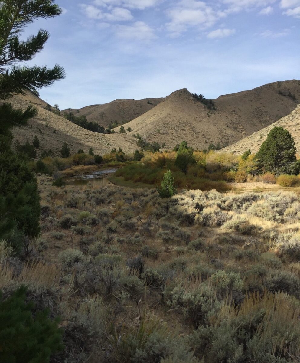 Our Favorite Places to #OptOutside