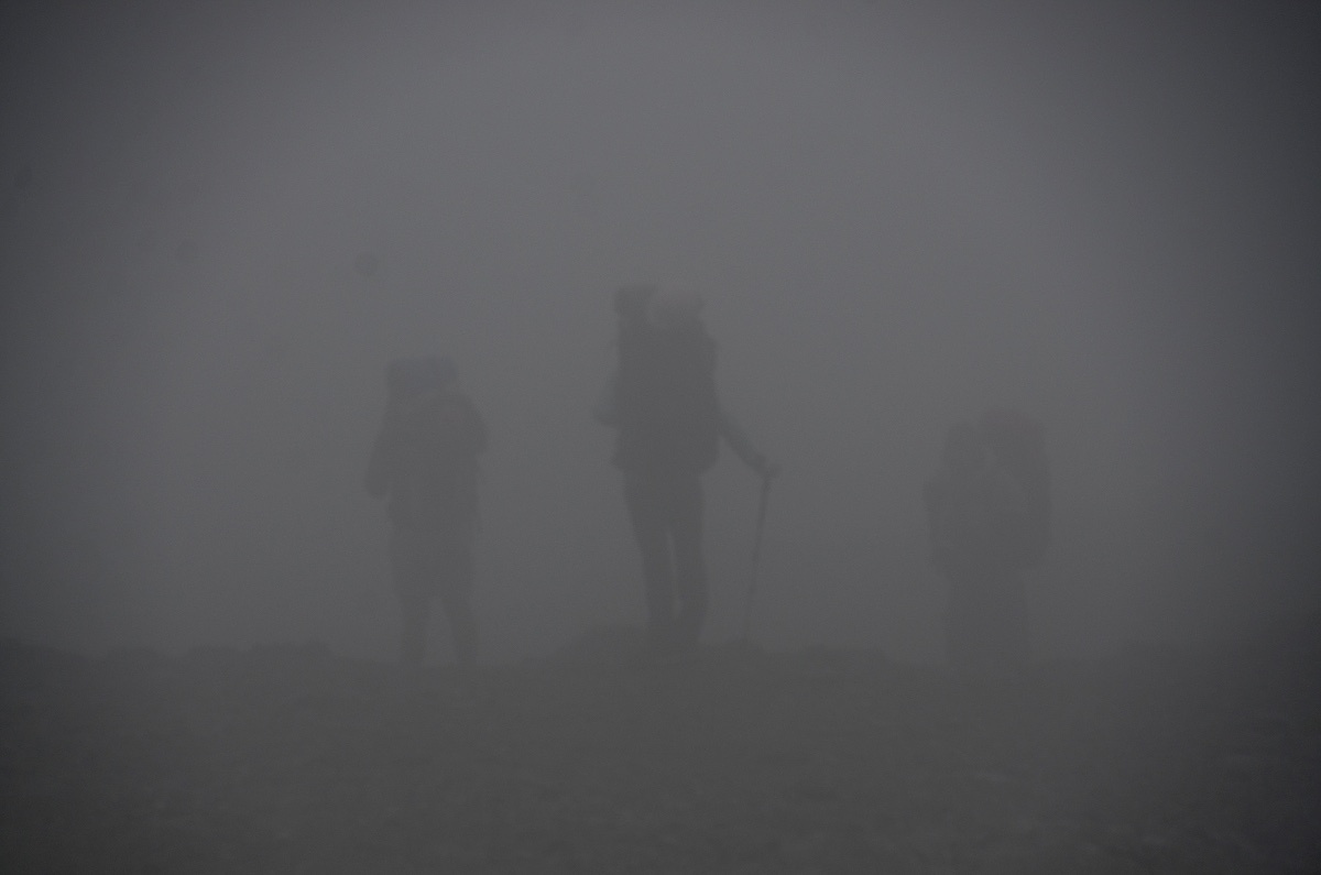 Through the fog