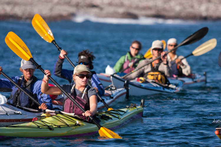 Baja Sea Kayaking – Adult