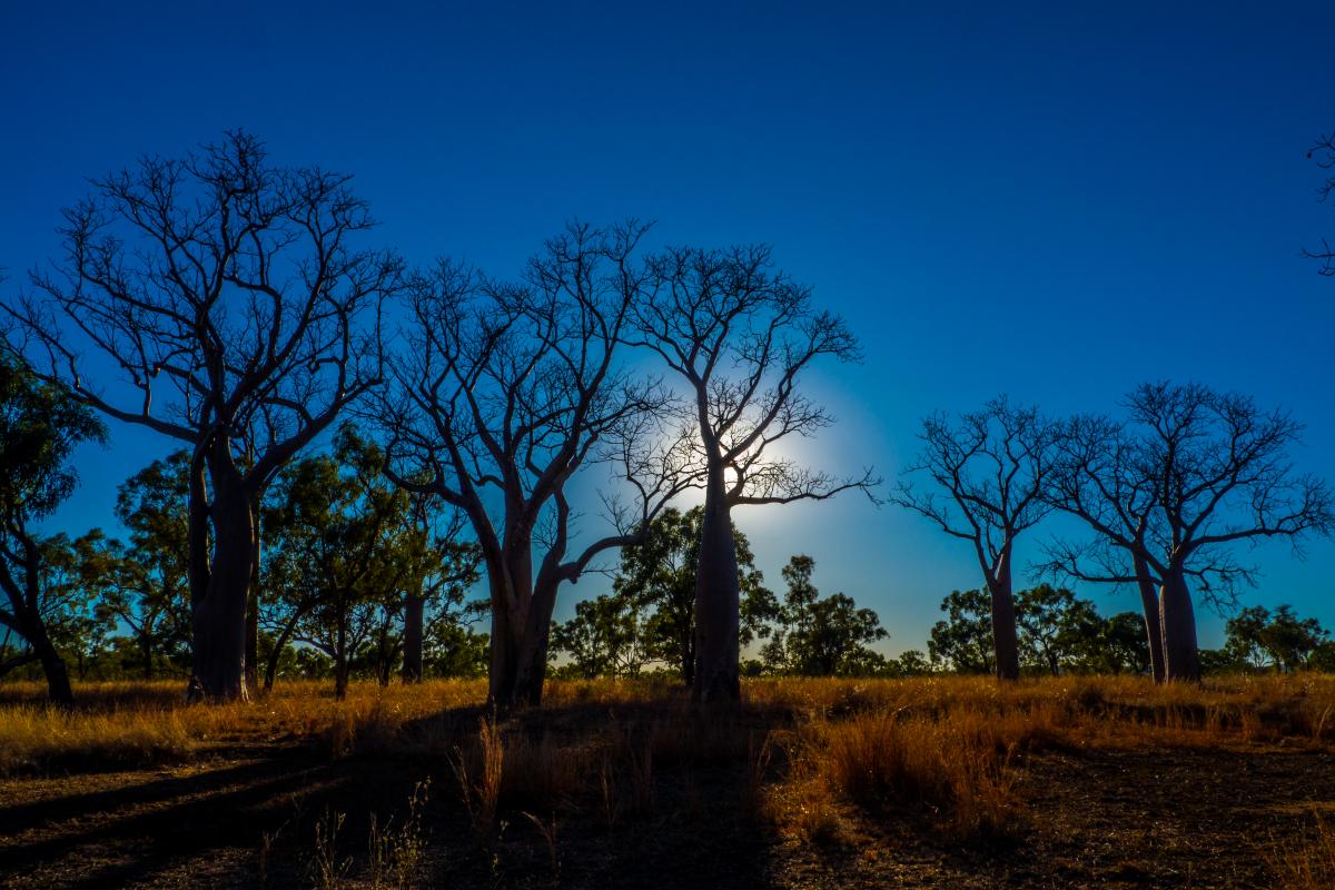 Savoring Australia
