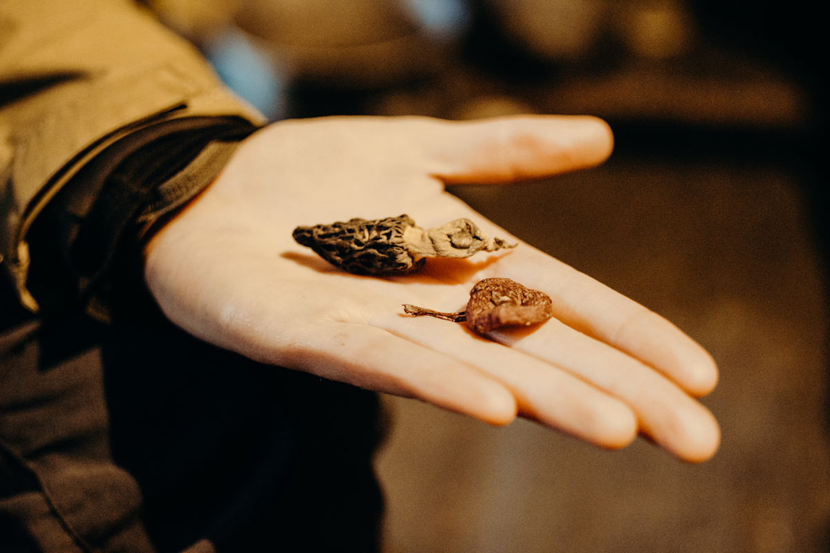 My coursemate holds dried mushrooms in her hand