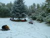 Dscf0081_2