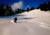 Fitzjan2008