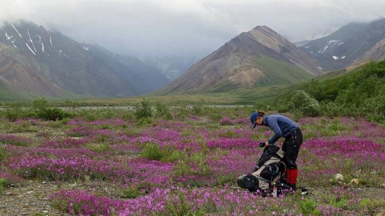 Alaska Adult Backpacking – 8 days