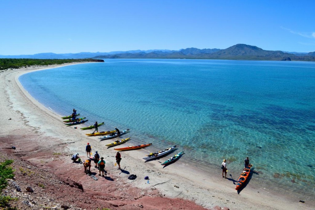Baja sea kayaking
