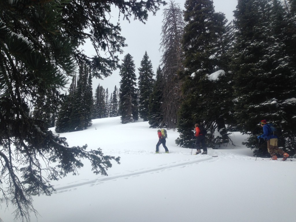 Ski Touring in the Tetons