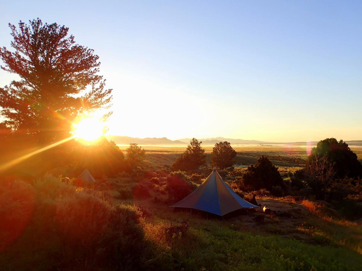 Camping in the sun
