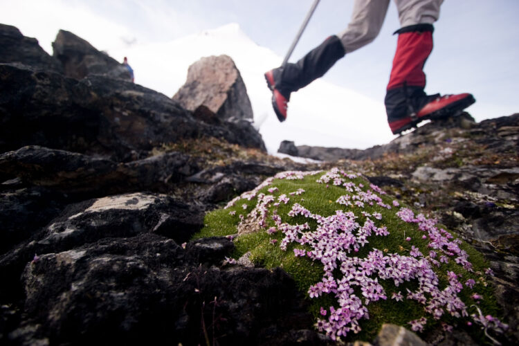 Leave No Trace Level 2 Instructor Course – Backpacking