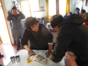 Patagonia-year-meal