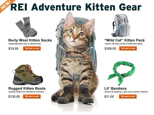 REI Kitten