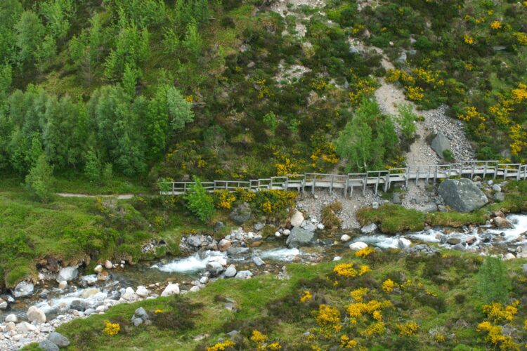 Hiking Scotland’s Speyside Way – Alumni