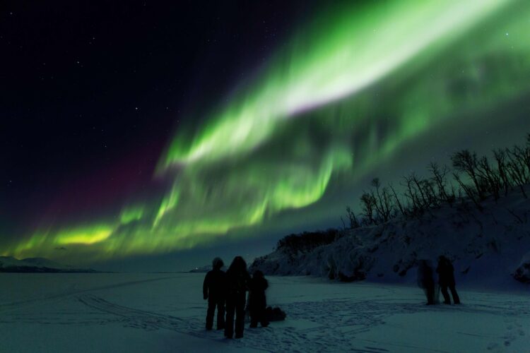 Skiing Under Sweden’s Northern Lights- Alumni