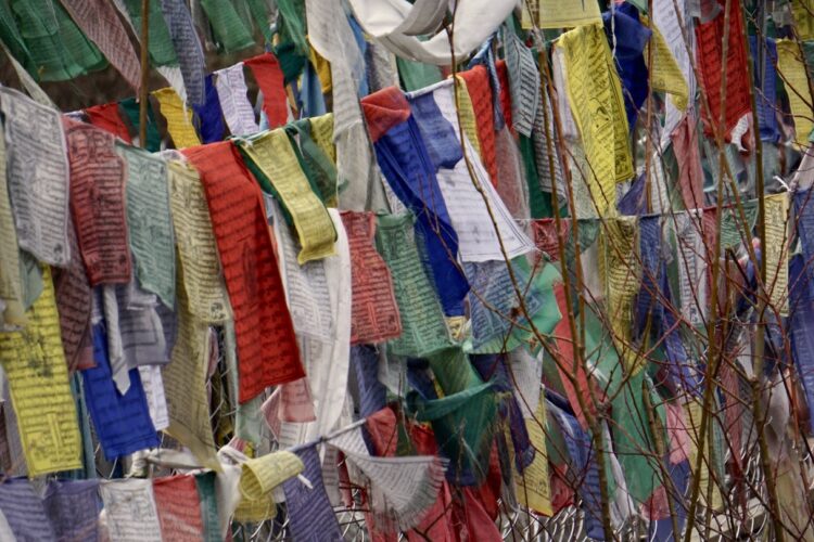 Trekking Nepal’s Manaslu Circuit – Alumni