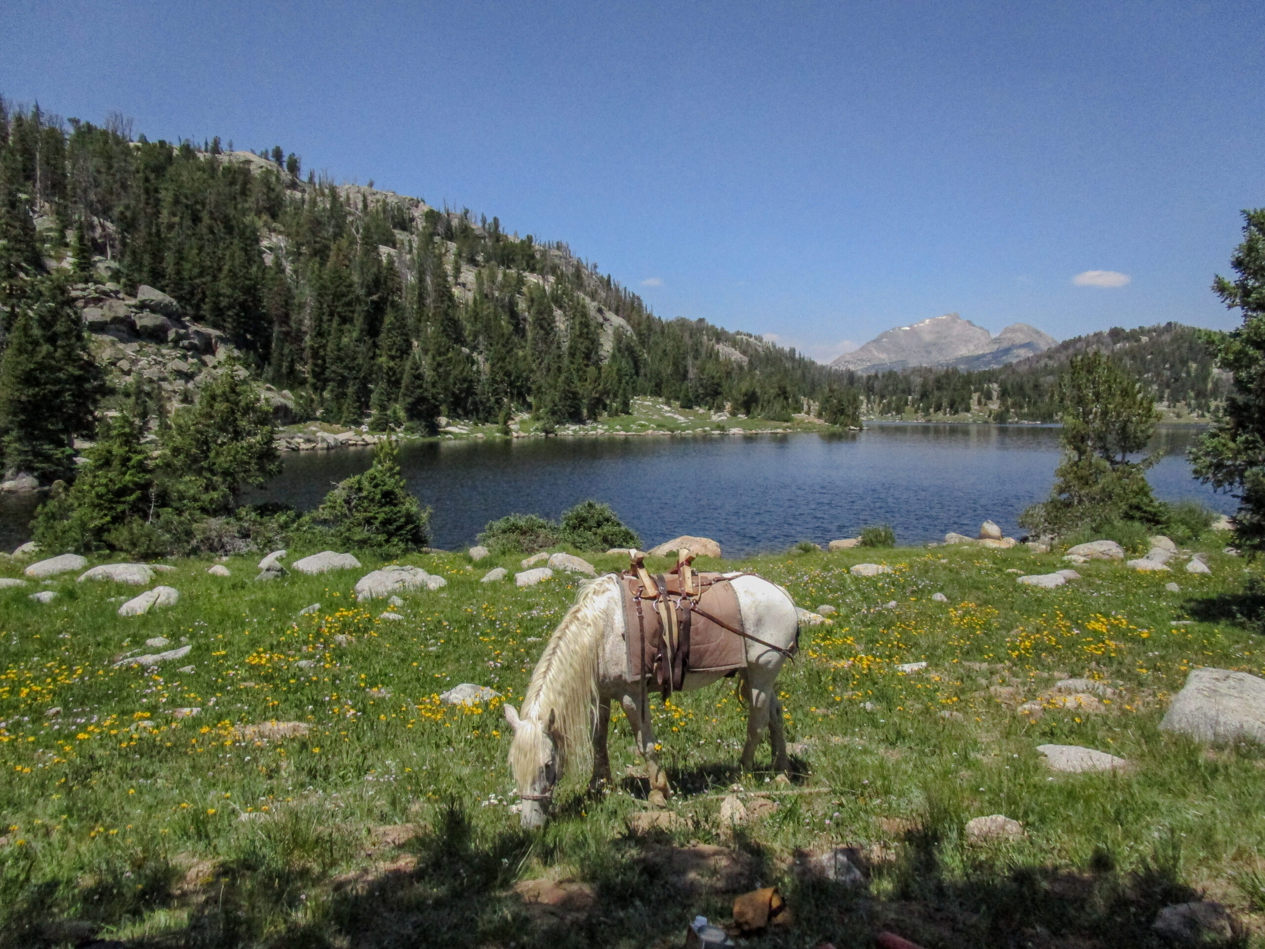 Social Media: @manny.seanez, WRW1, NOLS Rocky Mountain Wind River Range, July 15, 2024 to August 13, 2024.
