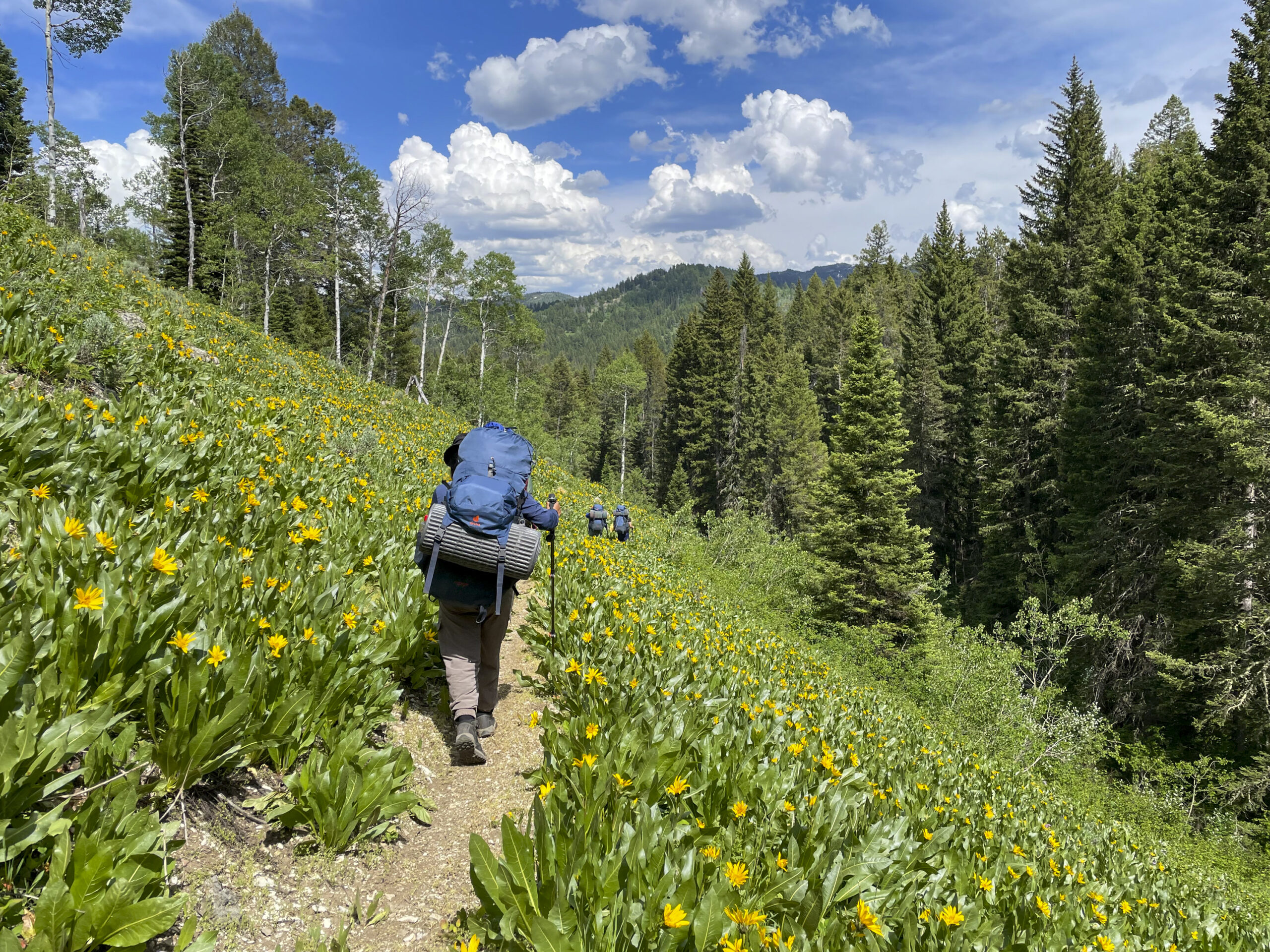 NOLS Teton Valley, Teton Valley, Idaho