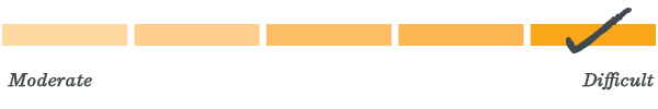 Level 5