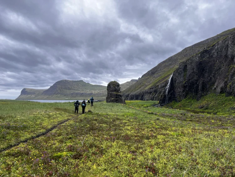 Three people walk through a field of yellow flowers. The sky is grey.