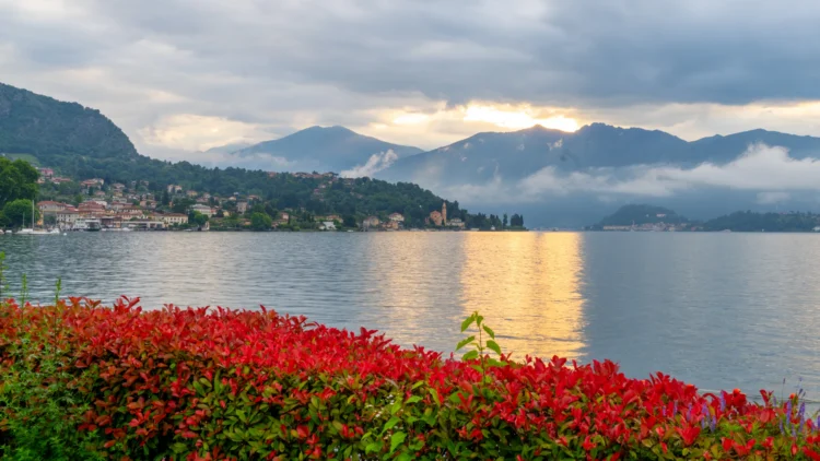 Red flowers frame the bottom of the photo with the lake and mountains in the background. The golden yellow sunset is reflected on the lake's surface.