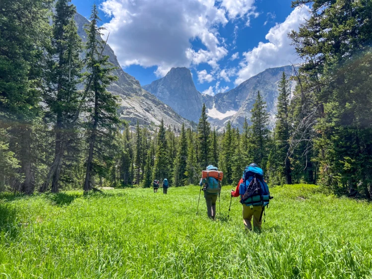 Backpackers walk through a field of tall grass towards towering granite peaks.