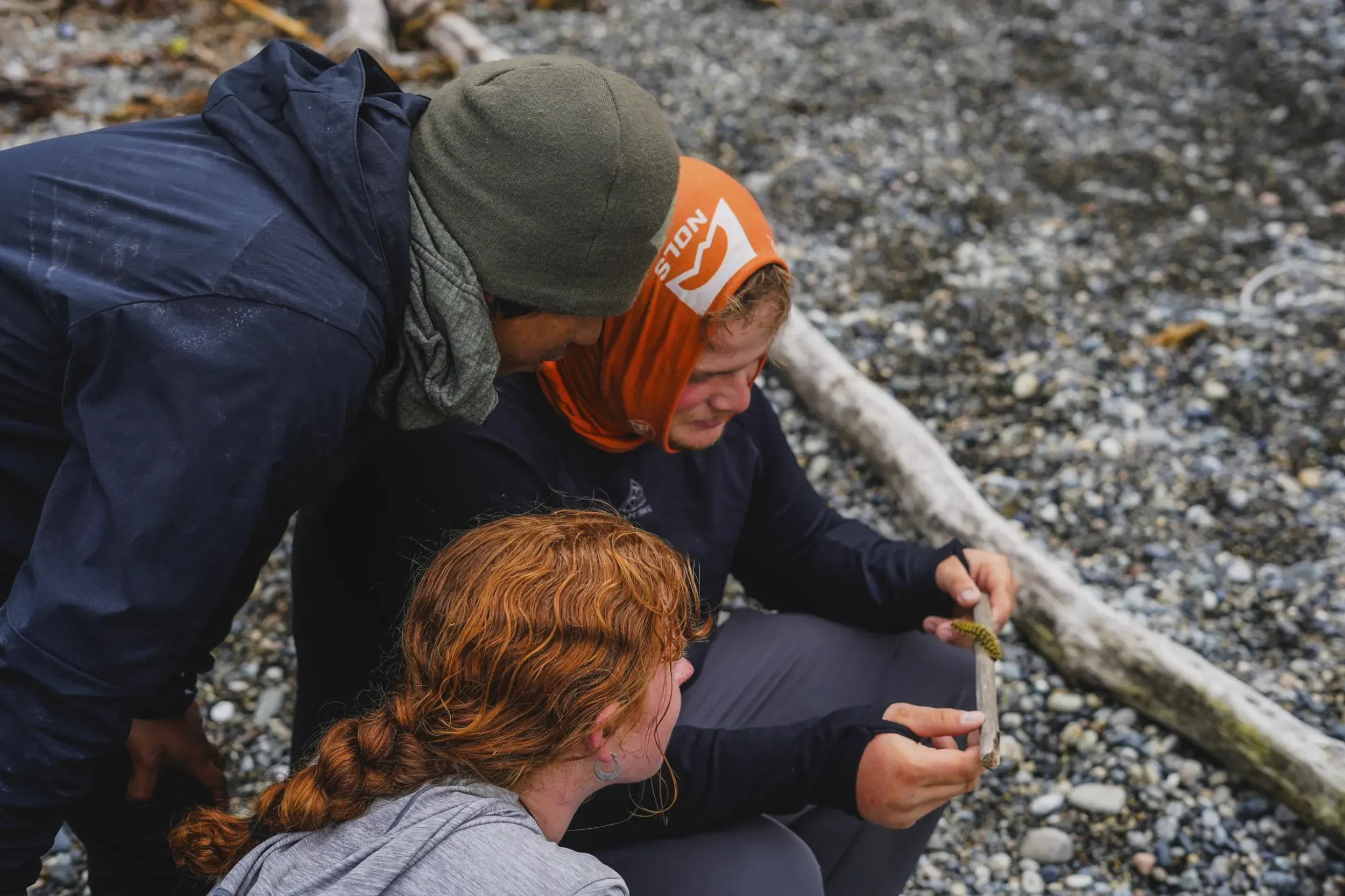 two students study a caterpillar on a stick. One student wears a headcovering with the NOLS logo and holds the stick. An instructor leans over to see.